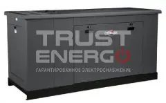 Газовый генератор Briggs & Stratton G290